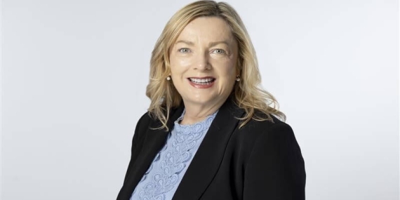 Pladis Hızlandırma Programı